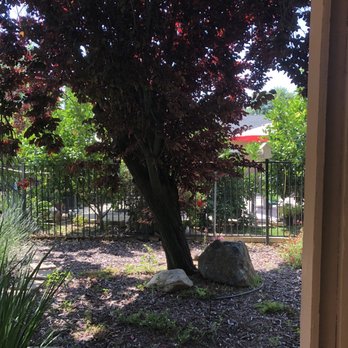 Del Cid Tree Service - Landscaping Near Me Del Cid Tree Service - Landscaping Near Me