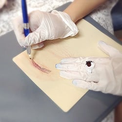 BeautyFace Spa - 3D Eyebrows MicroBlading training in Jax