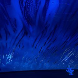 Super Sudz Car Wash