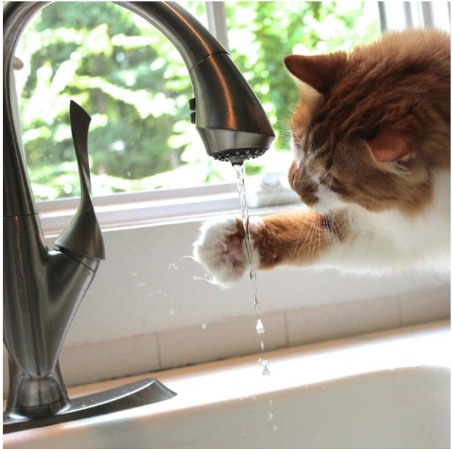 Slide of Rocky Point Plumbing