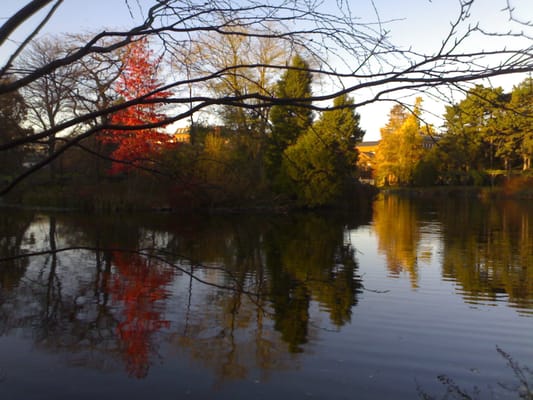 Botanical Garden by null