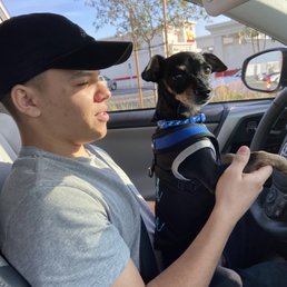 He's not scared to be in the car anymore.