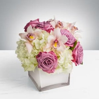 Belmont Flower Shop - Pop of Color sent to family member at McLean - Florists Near Me - Belmont, Massachusetts Belmont Flower Shop - Pop of Color sent to family member at McLean - Florists Near Me - Belmont, Massachusetts