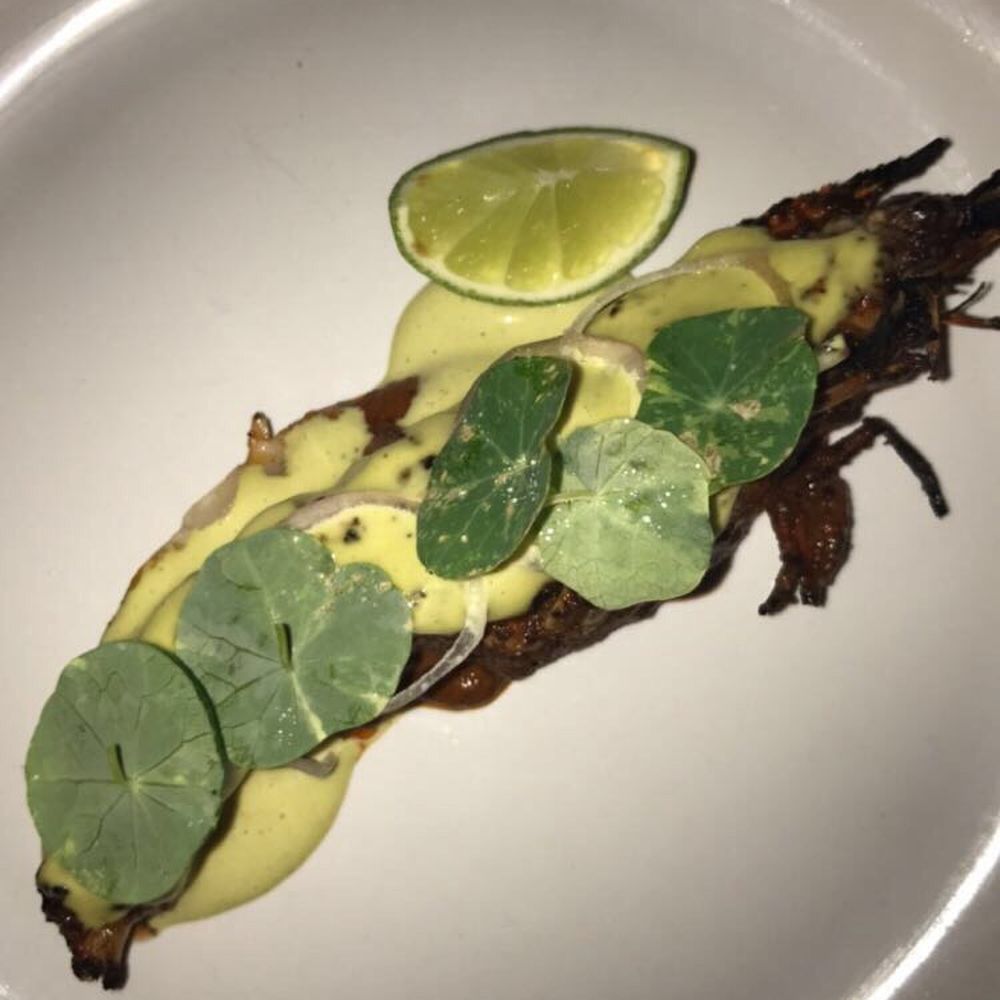 El Destilado - Mexican Near Me - Oaxaca, OAX
