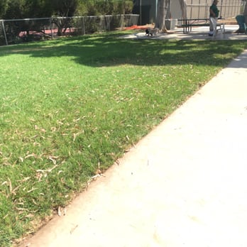 Costa Mesa Bark Park - Dog Parks Near Me - Costa Mesa, California Costa Mesa Bark Park - Dog Parks Near Me - Costa Mesa, California