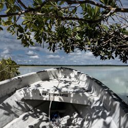Mexidivers - Leaving the Mangroves