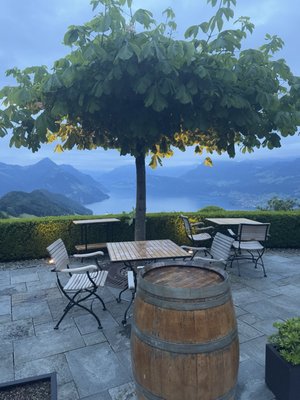 Hotel Villa Honegg by null