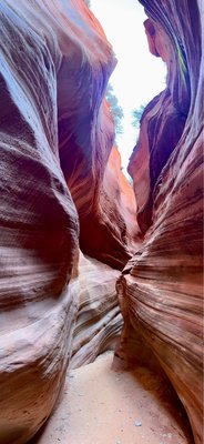 All Ways Adventure by null