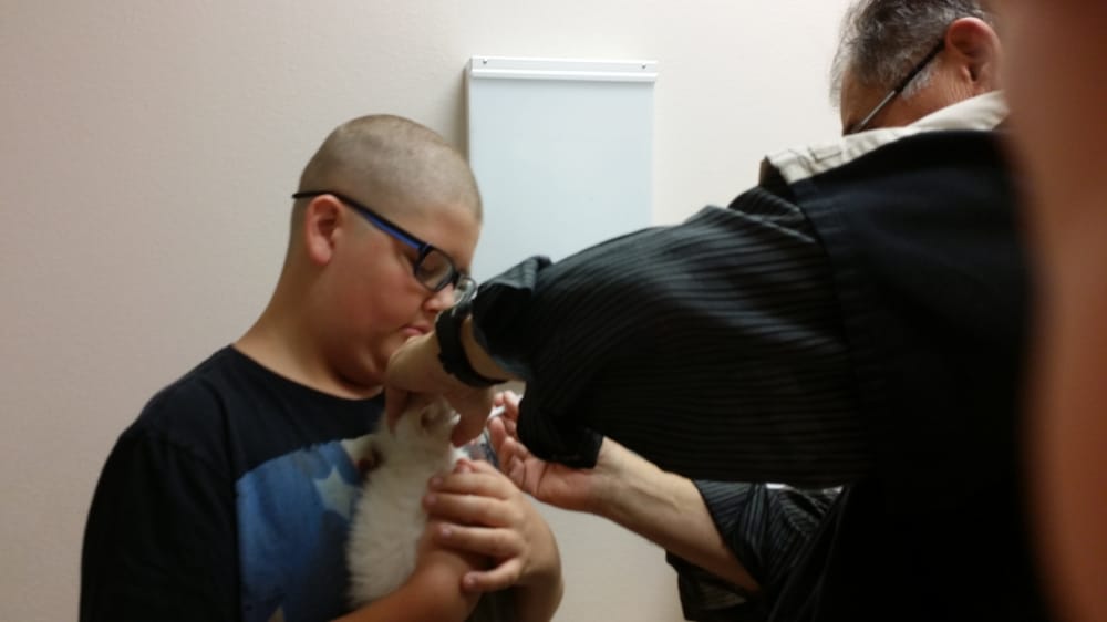 PUSCH RIDGE PET CLINIC - Updated February 2026 - 11 Photos & 44 Reviews ...