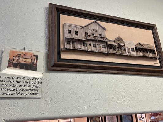 Petrified Wood Gallery by null