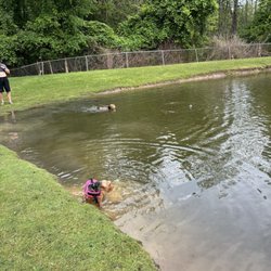 Sun Retreats Geneva on the Lake - Our dogs swimming in the pond