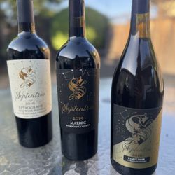 Septentrio Winery - What a nice line up...