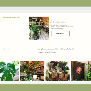 Lissie Rydz Design - Website for Sekoya Botanicals in Eureka CA. sekoyabotanicals.com - Web Design Near Me Lissie Rydz Design - Website for Sekoya Botanicals in Eureka CA. sekoyabotanicals.com - Web Design Near Me