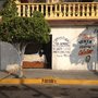 Photo of Sastre Jacarandas