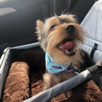 La Bone Pet Spa - Pet Stores Near Me - Cooper City, Florida
