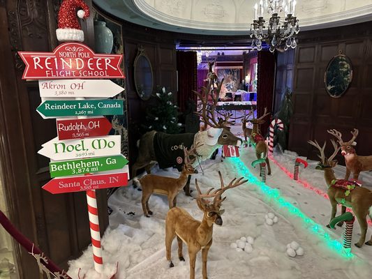 Stan Hywet Hall & Gardens by null