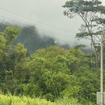 Kaneohe Town - Low lying clouds - Local Flavor Near Me Kaneohe Town - Low lying clouds - Local Flavor Near Me