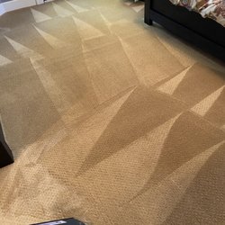 Dog Gone Clean Carpet - All natural products get it clean.