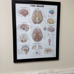 The Neurology Institute