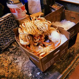 Dungeness Crab
