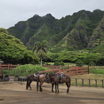 Kualoa Ranch - Horseback Tour - Tours Near Me - Kaneohe, Hawaii