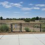 Photo of Bud Warren and Lady Dog Park