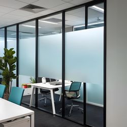 Tint by Designs - Frosted window film