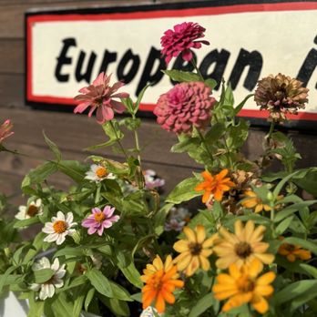 Cafe Cortado - Gorgeous flowers on the patio - Coffee & Tea Near Me - San Marcos, Texas