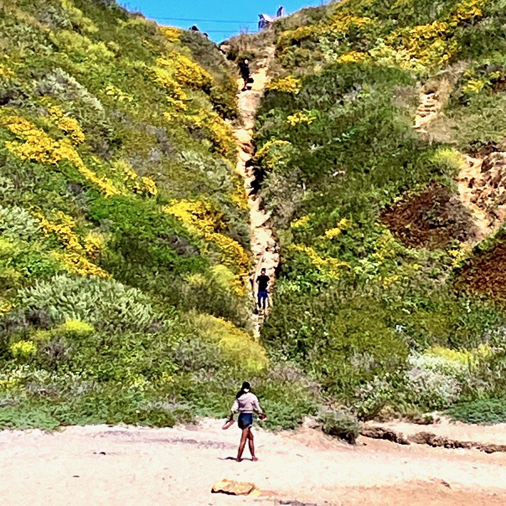 TOP 10 BEST Nudist Beach near Seaside, CA 93955 - Updated