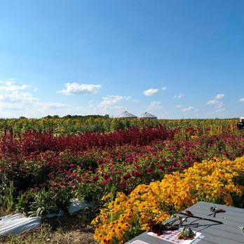 Tuttle Orchards - Flowers! - Fruits & Veggies Near Me - Greenfield, Indiana
