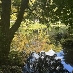 Pukekura Park