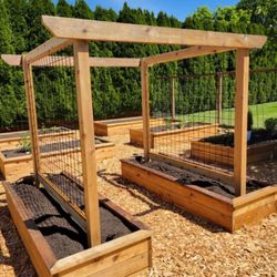 New Terra Landscape & Design