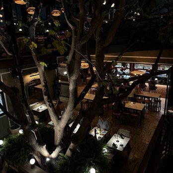 Mirate - Interior - Mexican Near Me - Los Angeles, California