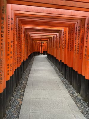 Senbon Torii (Thousand Torii Gates) by null