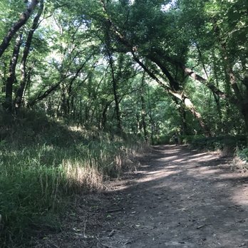 Henry Horton State Park - Parks Near Me - Chapel Hill, Tennessee