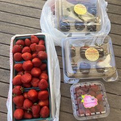 Paradise Produce Market - $40 for total