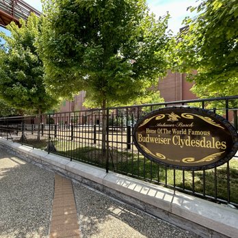 Budweiser Brewery Experience - Heading over to visit the Budweiser Clydesdales. - Beer Tours Near Me - Saint Louis, Missouri