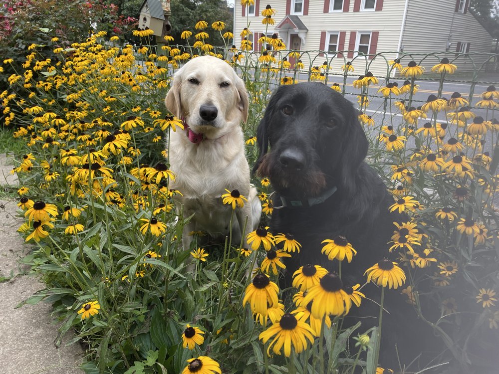 ANIMAL CRACKERS Updated July 2024 10 Reviews 754 E Main St