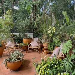 Miel & Canela - Lounge area