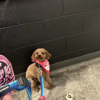 Josh & John's - Waiting to be released to eat her treat! - Ice Cream & Frozen Yogurt Near Me - Colorado Springs, Colorado Josh & John's - Waiting to be released to eat her treat! - Ice Cream & Frozen Yogurt Near Me - Colorado Springs, Colorado