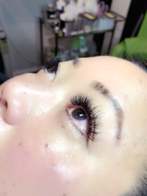 Wink Lashes by null