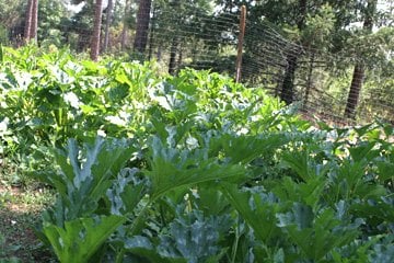 QUAIL MOUNTAIN RANCH - Updated January 2025 - 1775 Grass Valley Hwy