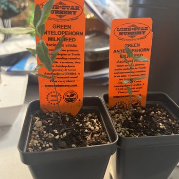 Lone Star Nursery - Nurseries & Gardening Near Me - Manor, Texas