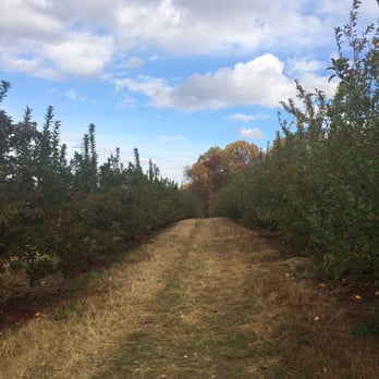 Riamede Farm - Pick Your Own Farms Near Me - Chester, New Jersey Riamede Farm - Pick Your Own Farms Near Me - Chester, New Jersey