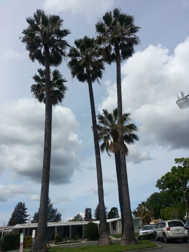 CONCORDDALIS GARDENS MOBILE HOME PARK Updated September 2024 3161