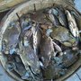 Photo of Castaway Seafood