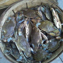 Castaway Seafood - Live Blue Crab!