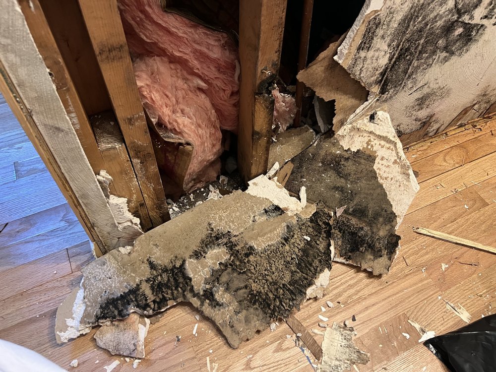 NEPTUNE RESTORATION Virginia Beach, Virginia Damage Restoration