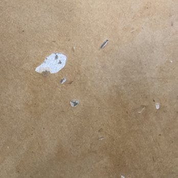 Your Concrete Guy - Sample of stain peeling from floor - Flooring Near Me - Portland, Oregon Your Concrete Guy - Sample of stain peeling from floor - Flooring Near Me - Portland, Oregon