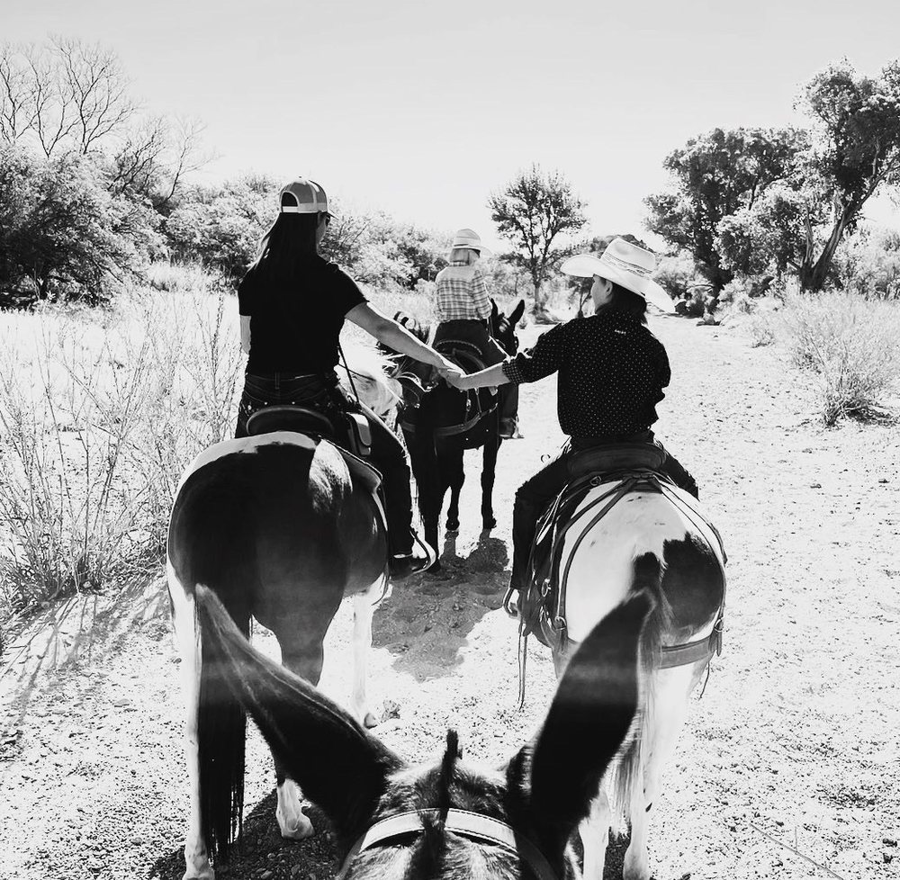 TOMBSTONE EQUINE COMPANY Updated August 2024 13 Photos 2424 E Colt Rd, Tombstone, Arizona